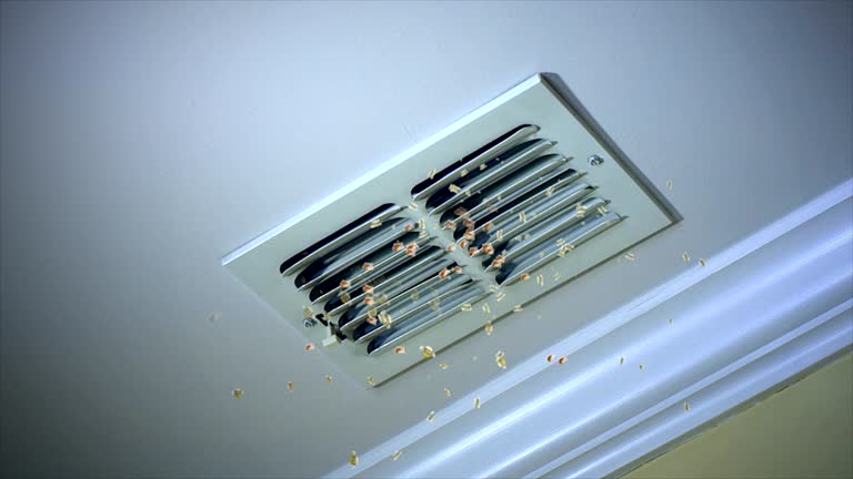 Best Local Air Duct Cleaning Services  in Amory, MS