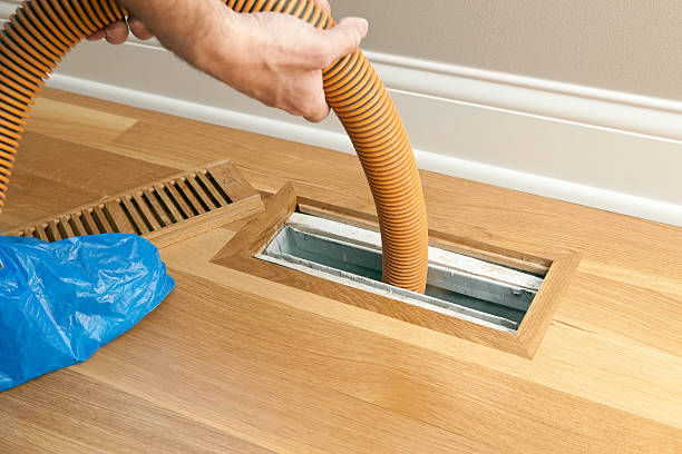 Best Professional Duct Cleaning Services  in Amory, MS